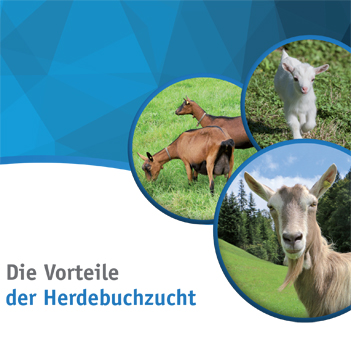 Der Schweizerische Ziegenzuchtverband SZZV | Schweizerischer Ziegenzuchtverband (SZZV)