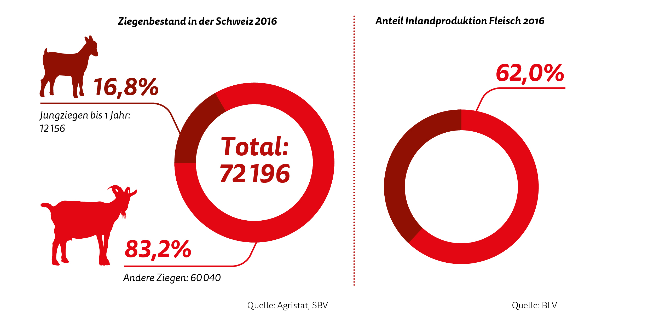 wie lange sind ziegen trächtig