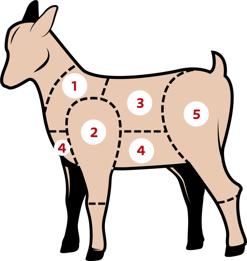 Carne Di Capra Schweizerischer Ziegenzuchtverband Szzv